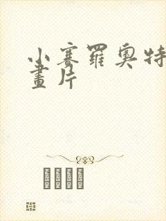 小赛罗奥特曼动画片