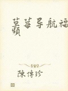 草莓导航福利视频封面