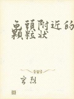 龟头附近的白色颗粒状封面