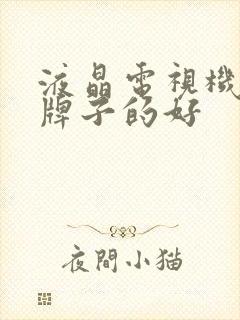 液晶电视机哪个牌子的好