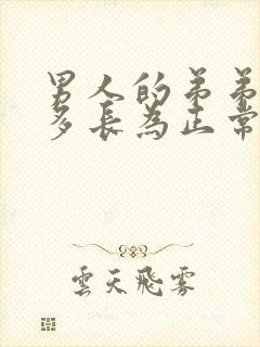 男人的弟弟一般多长为正常