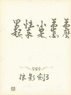 男性小弟弟硬不起来是怎么回事