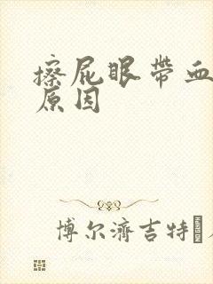 擦屁眼带血什么原因