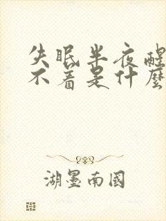 失眠半夜醒来睡不着是什么原因