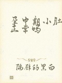 孕中期小肚子疼正常吗封面