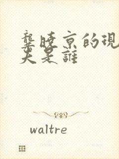 龚晓京的现任丈夫是谁封面