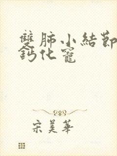 双肺小结节右肺钙化灶