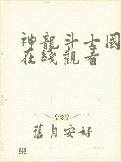 神龙斗士国语版在线观看封面