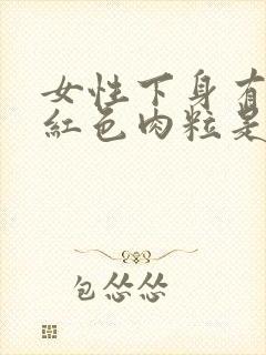 女性下身有出现红色肉粒是怎么回事封面