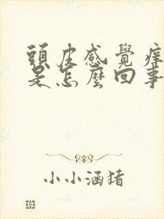 头皮感觉痒痒的是怎么回事呢封面