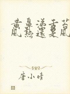 黄鼻涕舌苔白是风热还是风寒