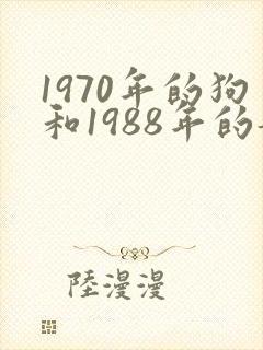 1970年的狗和1988年的龙相配吗封面