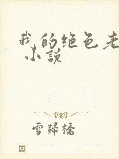 我的绝色老板娘 小说