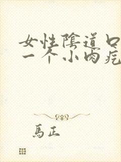 女性阴道口长了一个小肉疙瘩封面