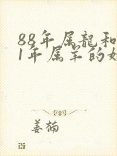 88年属龙和91年属羊的婚配吗