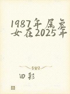 1987年属兔女在2025年财运如何