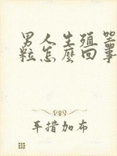 男人生殖器有肉粒怎么回事