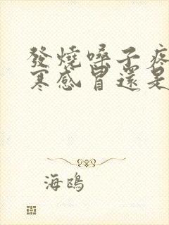 发烧嗓子疼是风寒感冒还是风热感冒封面