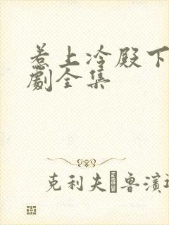 惹上冷殿下电视剧全集