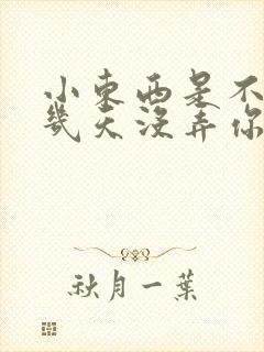 小东西是不是好几天没弄你了