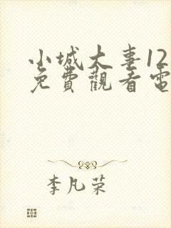 小城大事12集免费观看电视剧