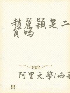 赵丽颖是二级演员吗