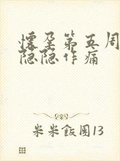 怀孕第五周肚子隐隐作痛