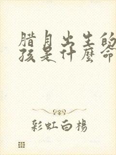 腊月出生的兔男孩是什么命运