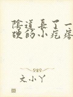 阴道长了一个硬硬的小疙瘩封面