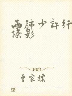 两肺少许纤维索条影封面