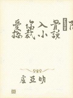 爱你入骨·隐婚总裁小说封面