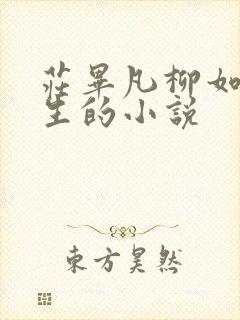 庄毕凡柳如烟楚生的小说