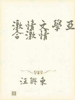 激情文学亚洲综合激情