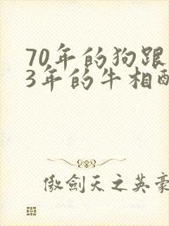 70年的狗跟73年的牛相配吗封面