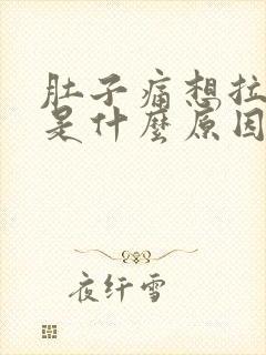 肚子痛想拉大便是什么原因