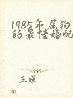 1985年属狗的最佳婚配