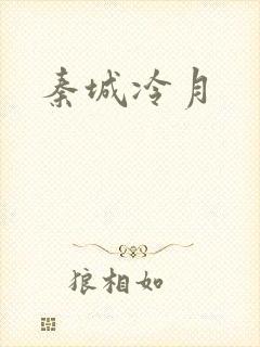 秦城冷月封面