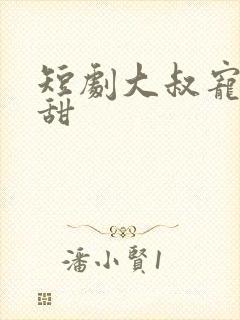 短剧大叔宠妻超甜封面