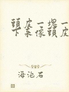 头皮一块一块抠下来像头皮屑封面