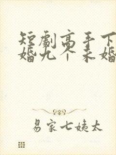 短剧高手下山退婚九个未婚妻免费观看