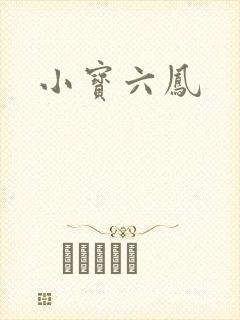 小宝六凤
