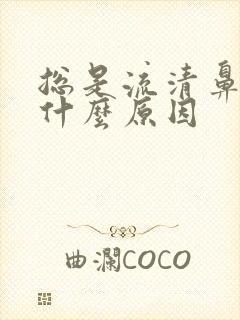 总是流清鼻涕是什么原因