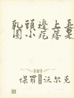 乳头边上长了一圈小疙瘩是咋回事