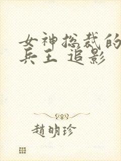 女神总裁的贴身兵王 追影