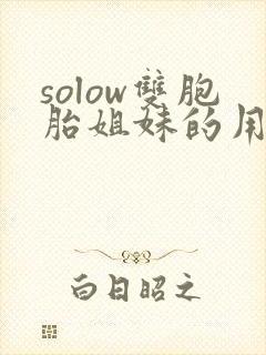 solow双胞胎姐妹的用心