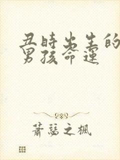 丑时出生的属猴男孩命运