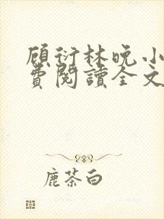 顾衍林晚小说免费阅读全文最新章节更新