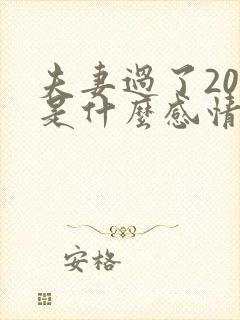 夫妻过了20年是什么感情