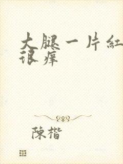 大腿一片红疙瘩很痒