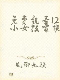 免费观看12岁小女孩电视剧